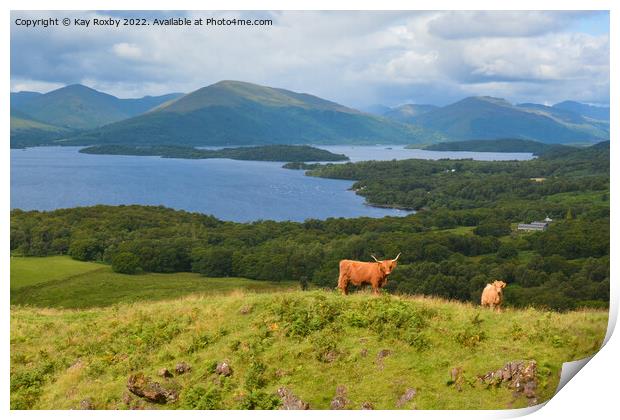 Highland Cattle overlooking Loch Lomond Print by Kay Roxby
