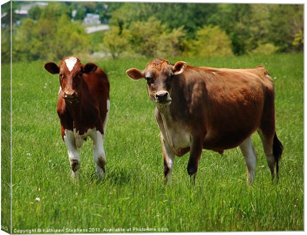 Two Cows Canvas Print by Kathleen Stephens