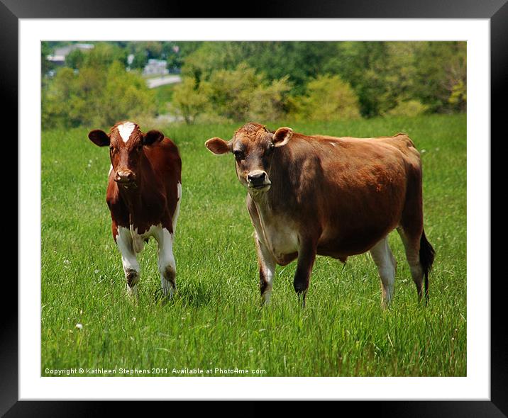 Two Cows Framed Mounted Print by Kathleen Stephens