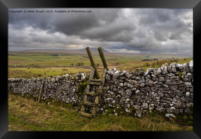 Hill walking around Horton in Ribblesdale in the Yorkshire Dales Framed Print by Peter Stuart