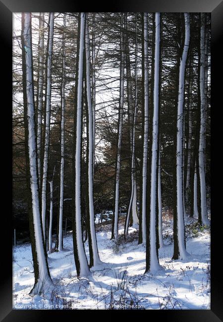 Winter woodland. Framed Print by Glyn Evans