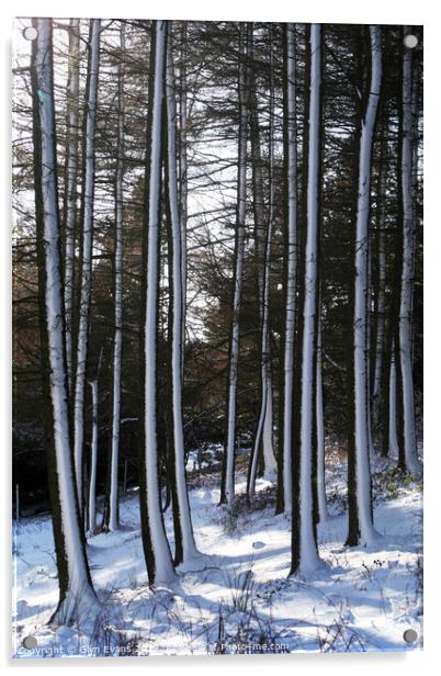 Winter woodland. Acrylic by Glyn Evans