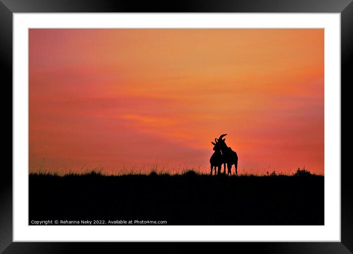 Male and female topi deer silhouetted against the rising sun  Framed Mounted Print by Rehanna Neky
