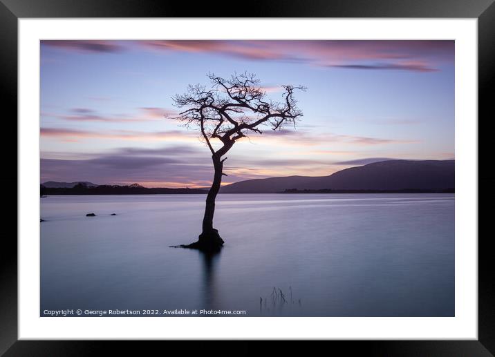 Lone Tree at Sunset, Loch Lomond Framed Mounted Print by George Robertson
