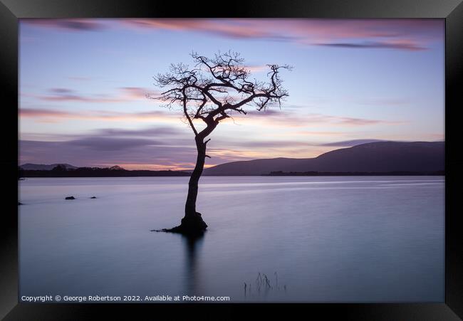 Lone Tree at Sunset, Loch Lomond Framed Print by George Robertson