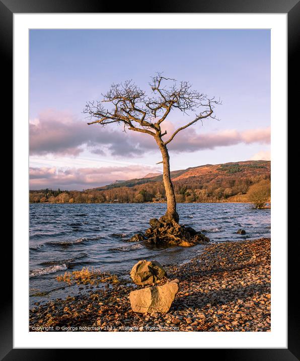 Milarrochy Bay Tree Framed Mounted Print by George Robertson