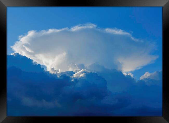 Large cumulus cloud against a blue sky Framed Print by Rory Hailes