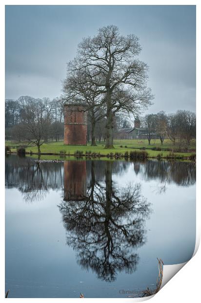 Reflections Dalswinton gardens   Print by christian maltby