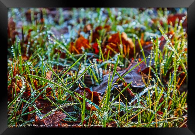 Grass Water Beading Framed Print by GJS Photography Artist