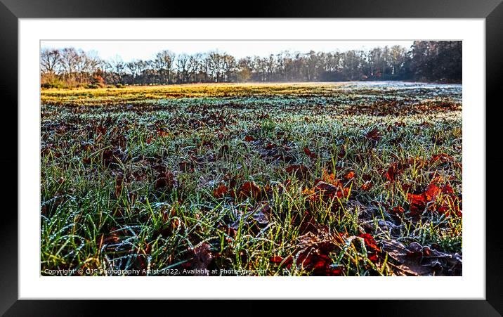Close to the Frosty Grasses Framed Mounted Print by GJS Photography Artist