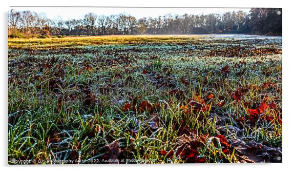 Close to the Frosty Grasses Acrylic by GJS Photography Artist