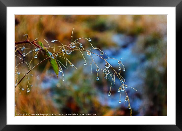 Big water droplets  Framed Mounted Print by GJS Photography Artist