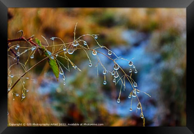 Big water droplets  Framed Print by GJS Photography Artist