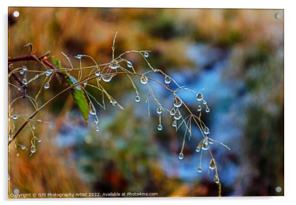 Big water droplets  Acrylic by GJS Photography Artist