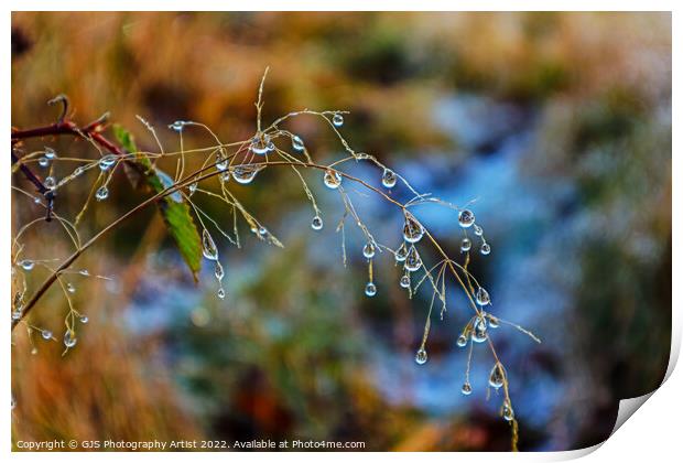 Big water droplets  Print by GJS Photography Artist