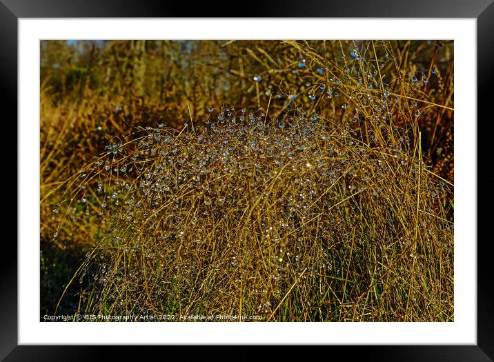 Water Chandalar  Framed Mounted Print by GJS Photography Artist