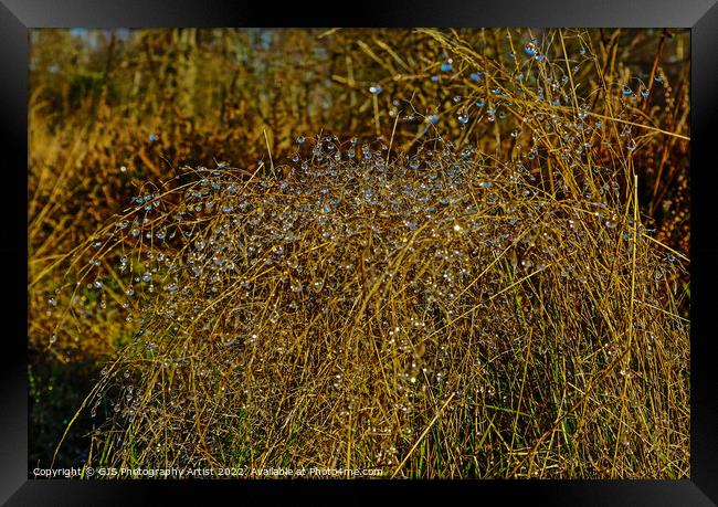 Water Chandalar  Framed Print by GJS Photography Artist