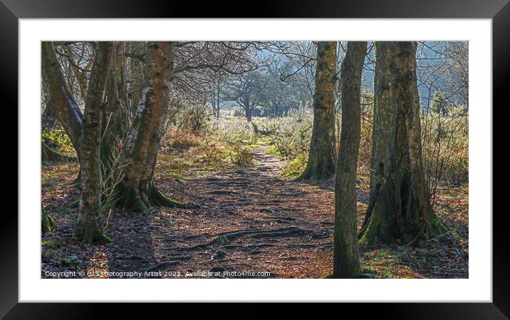 Root Pathway Framed Mounted Print by GJS Photography Artist