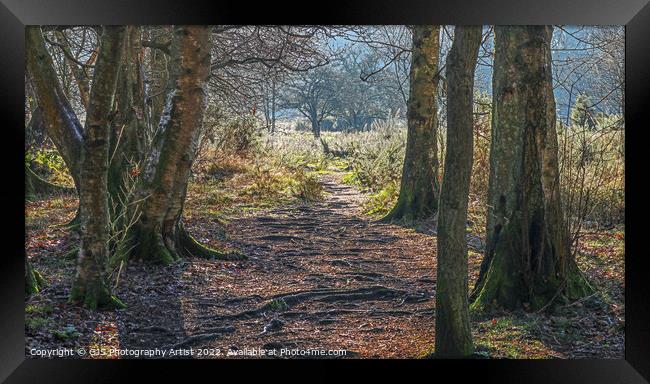 Root Pathway Framed Print by GJS Photography Artist