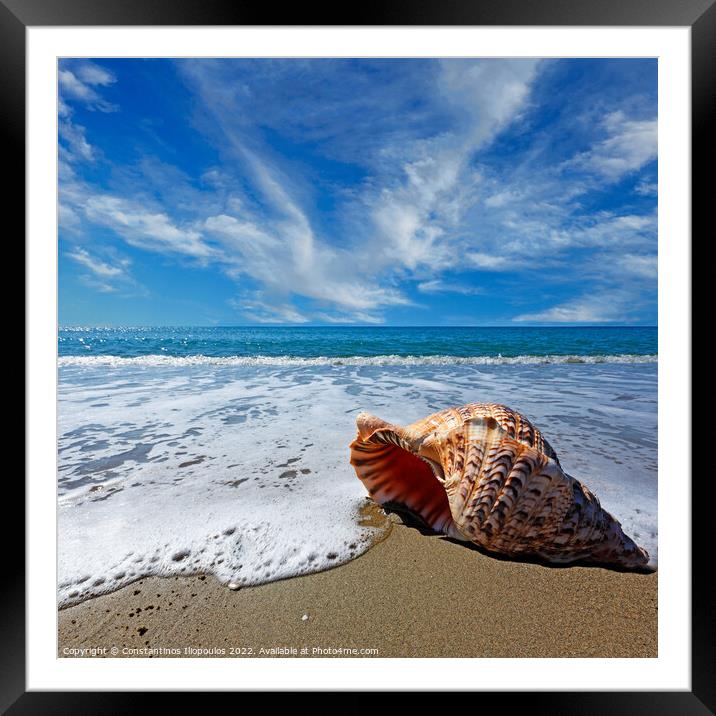 Beach with shell Framed Mounted Print by Constantinos Iliopoulos