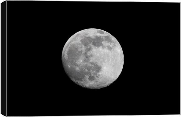 Luna Canvas Print by chris smith