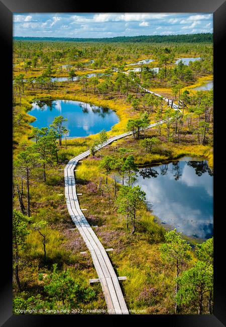 Kemeri National Park Bog trail in Latvia Framed Print by Sanga Park