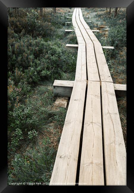 Kemeri National Park Bog trail road in Latvia Framed Print by Sanga Park