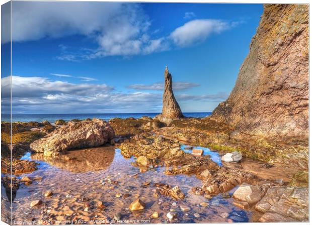 The Cullen Rocks Morayshire Scotland Canvas Print by OBT imaging