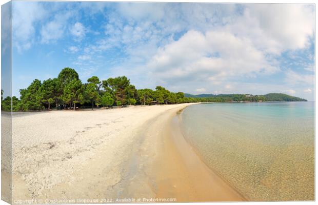 The beach Koukounaries in Skiathos, Greece Canvas Print by Constantinos Iliopoulos