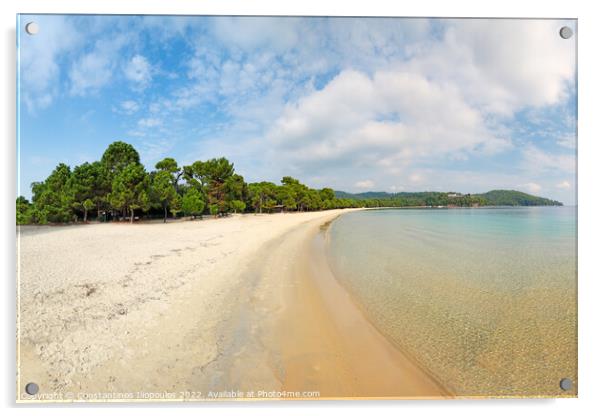 The beach Koukounaries in Skiathos, Greece Acrylic by Constantinos Iliopoulos