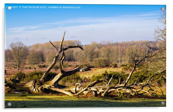 Kent Countryside at Hothfield Heathlands Ashford Acrylic by Pearl Bucknall