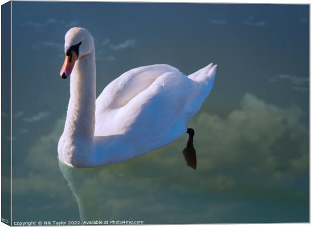 Floating swan Canvas Print by Nik Taylor