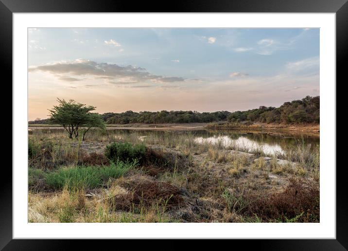 Evening Light on the Okavango River Framed Mounted Print by Belinda Greb
