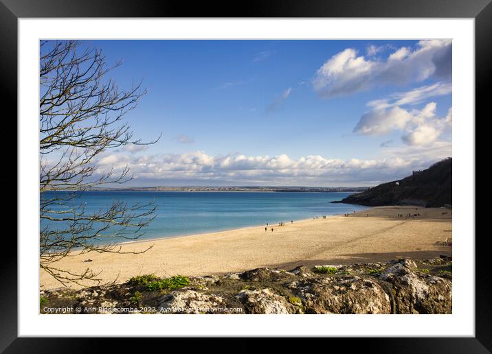 St Ives Beach in winter Framed Mounted Print by Ann Biddlecombe