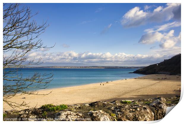 St Ives Beach in winter Print by Ann Biddlecombe
