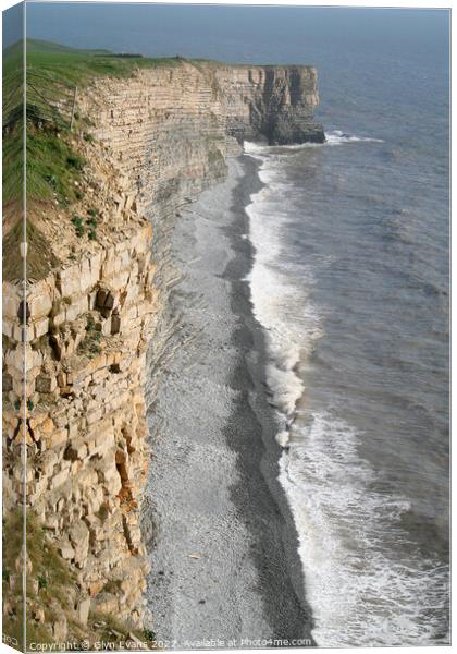 Clifftops  Canvas Print by Glyn Evans