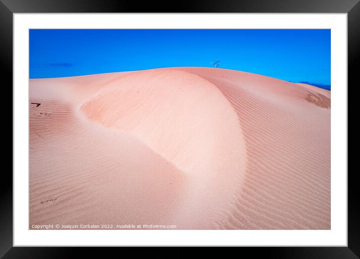 Fine sand blown by the wind creates dunes on the shores of the s Framed Mounted Print by Joaquin Corbalan