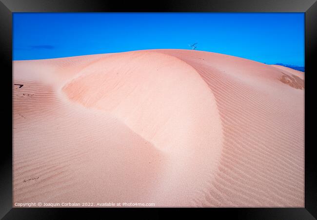 Fine sand blown by the wind creates dunes on the shores of the s Framed Print by Joaquin Corbalan