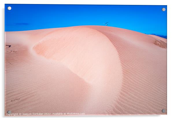 Fine sand blown by the wind creates dunes on the shores of the s Acrylic by Joaquin Corbalan