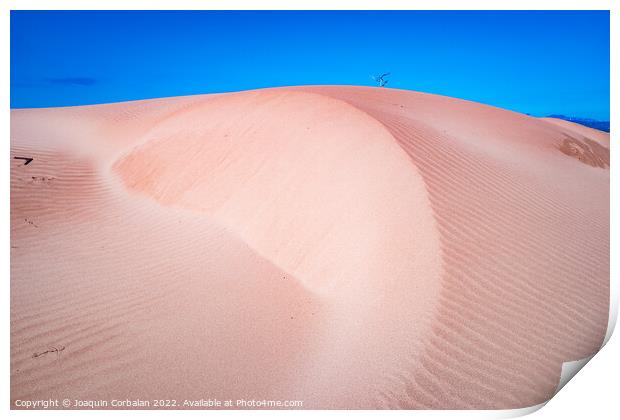 Fine sand blown by the wind creates dunes on the shores of the s Print by Joaquin Corbalan
