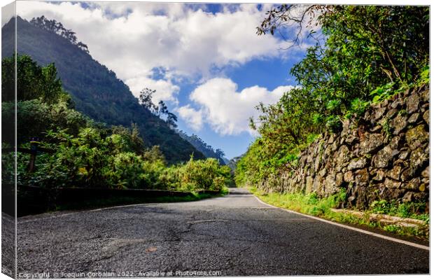 Sunny day on a road between mountains of the Canary Islands, in  Canvas Print by Joaquin Corbalan