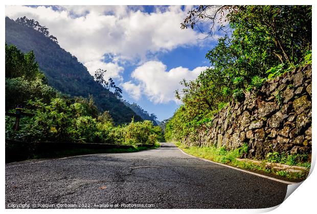 Sunny day on a road between mountains of the Canary Islands, in  Print by Joaquin Corbalan