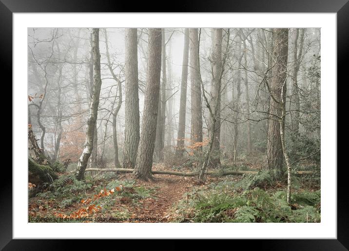 Misty wood in North Yorkshire Framed Mounted Print by Martin Williams