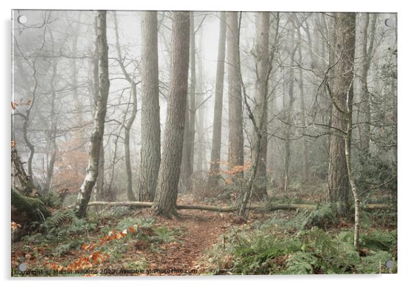 Misty wood in North Yorkshire Acrylic by Martin Williams