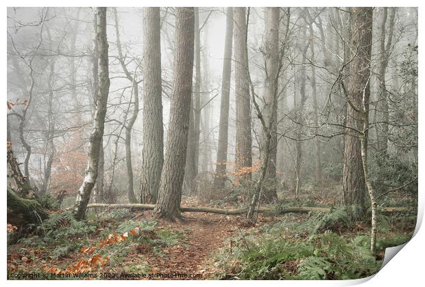Misty wood in North Yorkshire Print by Martin Williams