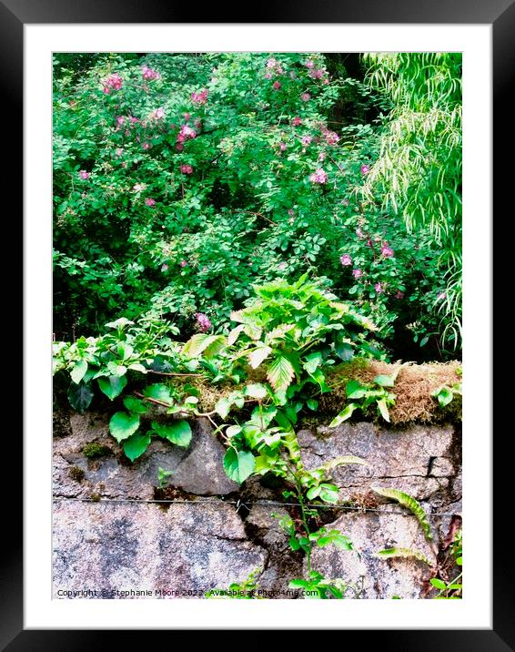 Stone wall with creeper Framed Mounted Print by Stephanie Moore