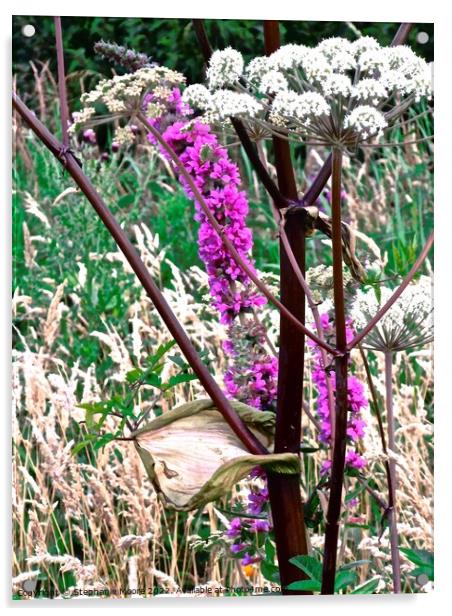 Irish wild flowers Acrylic by Stephanie Moore