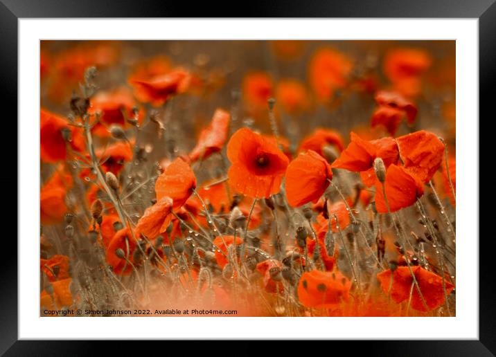 wild wind blown poppies Framed Mounted Print by Simon Johnson