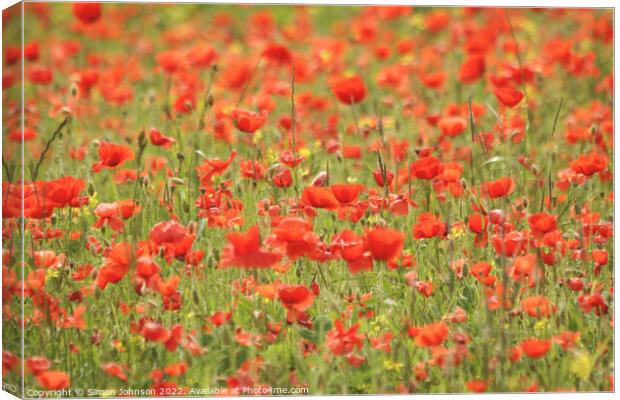 poppy field Canvas Print by Simon Johnson