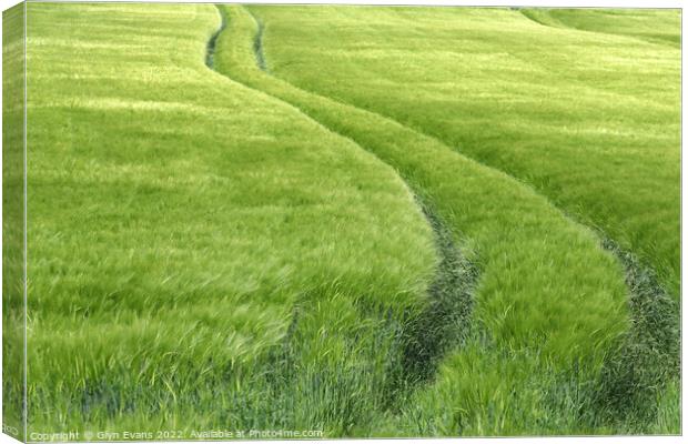 Field of green Canvas Print by Glyn Evans